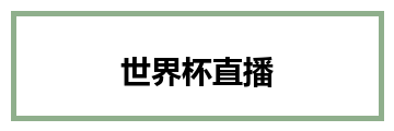 世界杯直播